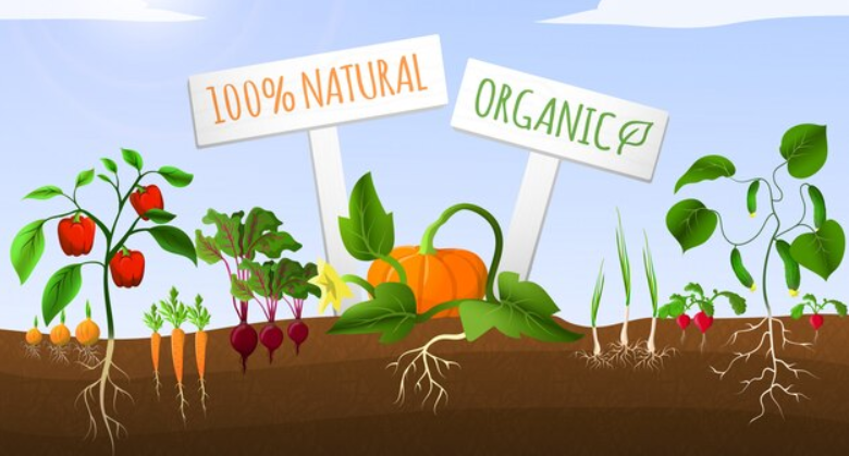 Organic Farming Business Idea